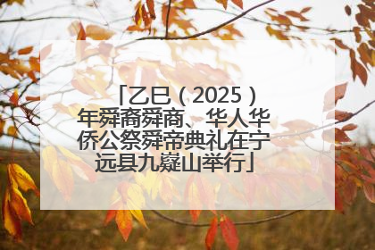 乙巳（2025）年舜裔舜商、华人华侨公祭舜帝典礼在宁远县九嶷山举行