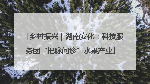 乡村振兴｜湖南安化：科技服务团“把脉问诊”水果产业