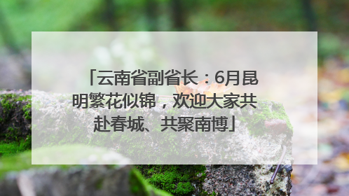 云南省副省长：6月昆明繁花似锦，欢迎大家共赴春城、共聚南博