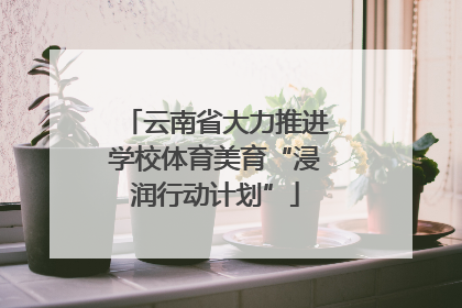 云南省大力推进学校体育美育“浸润行动计划”
