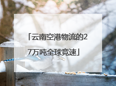 云南空港物流的27万吨全球竞速