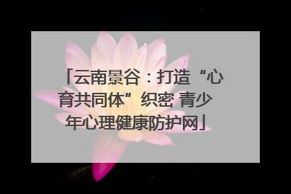 云南景谷：打造“心育共同体”织密 青少年心理健康防护网