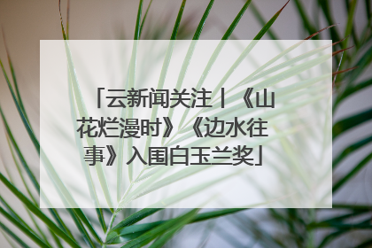 云新闻关注丨《山花烂漫时》《边水往事》入围白玉兰奖