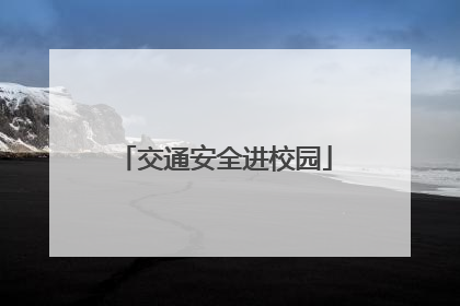 交通安全进校园