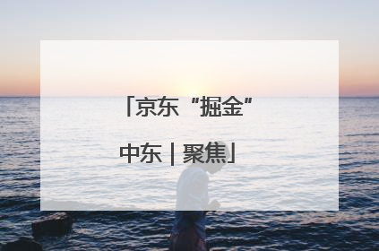 京东“掘金”中东｜聚焦