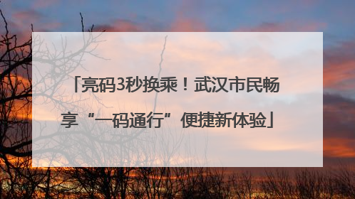 亮码3秒换乘！武汉市民畅享“一码通行”便捷新体验