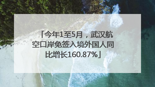 今年1至5月，武汉航空口岸免签入境外国人同比增长160.87%