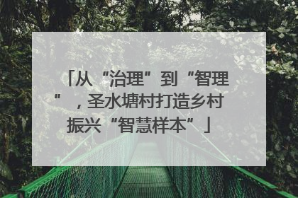 从“治理”到“智理”，圣水塘村打造乡村振兴“智慧样本”
