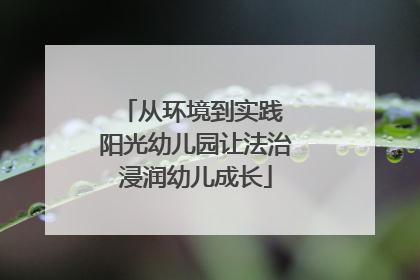 从环境到实践 阳光幼儿园让法治浸润幼儿成长