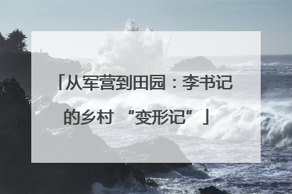 从军营到田园：李书记的乡村 “变形记”