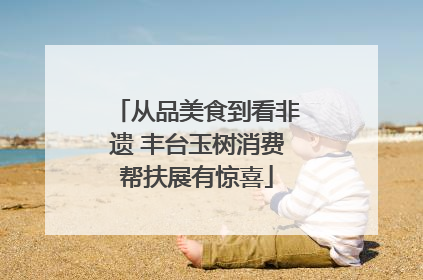 从品美食到看非遗 丰台玉树消费帮扶展有惊喜