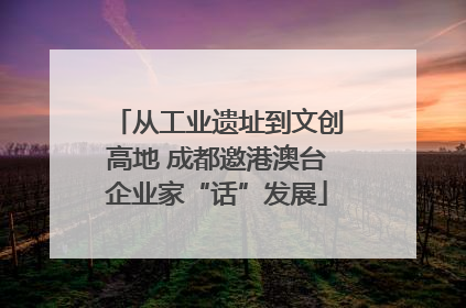 从工业遗址到文创高地 成都邀港澳台企业家“话”发展