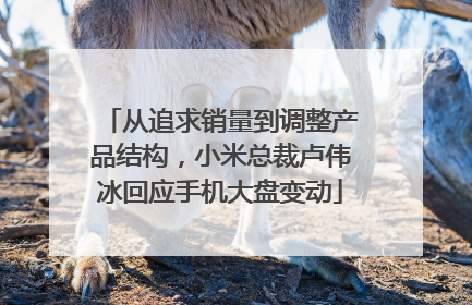 从追求销量到调整产品结构，小米总裁卢伟冰回应手机大盘变动