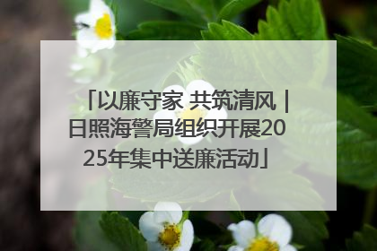以廉守家 共筑清风｜日照海警局组织开展2025年集中送廉活动