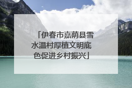 伊春市嘉荫县雪水温村厚植文明底色促进乡村振兴