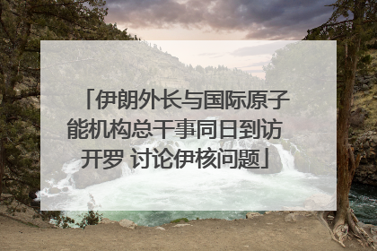 伊朗外长与国际原子能机构总干事同日到访开罗 讨论伊核问题