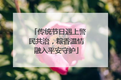 传统节日遇上警民共治，粽香温情融入平安守护