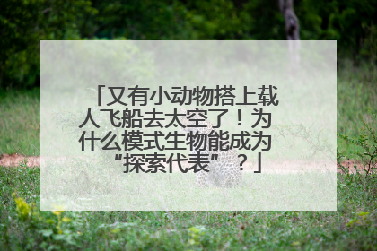 又有小动物搭上载人飞船去太空了！为什么模式生物能成为“探索代表”？