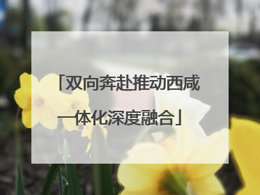 双向奔赴推动西咸一体化深度融合