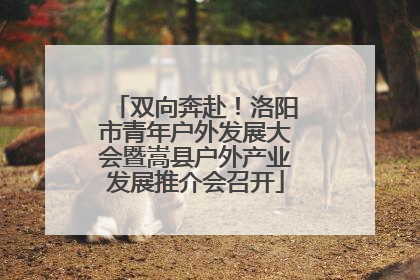 双向奔赴！洛阳市青年户外发展大会暨嵩县户外产业发展推介会召开