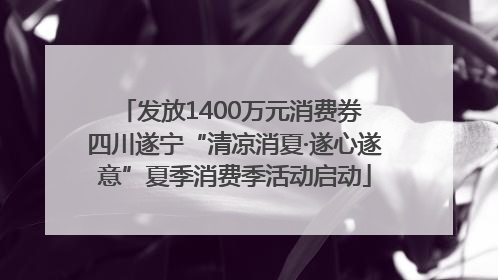 发放1400万元消费券 四川遂宁“清凉消夏·遂心遂意”夏季消费季活动启动