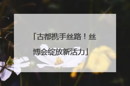 古都携手丝路！丝博会绽放新活力