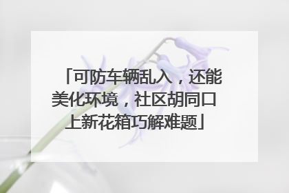 可防车辆乱入，还能美化环境，社区胡同口上新花箱巧解难题