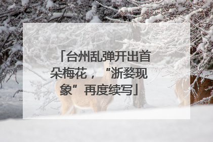 台州乱弹开出首朵梅花，“浙婺现象”再度续写