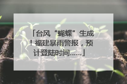 台风“蝴蝶”生成！福建暴雨警报，预计登陆时间……
