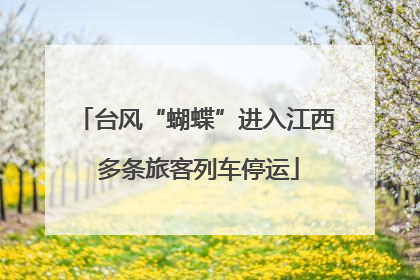 台风“蝴蝶”进入江西 多条旅客列车停运