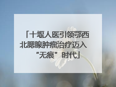 十堰人医引领鄂西北腮腺肿瘤治疗迈入“无痕”时代