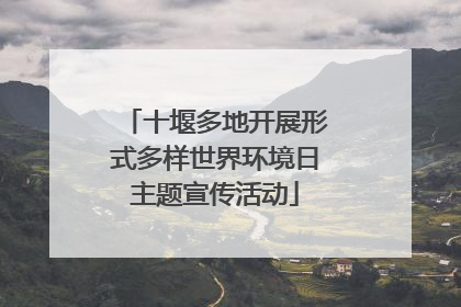 十堰多地开展形式多样世界环境日主题宣传活动