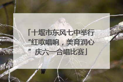 十堰市东风七中举行“红歌唱响，美育润心”庆六一合唱比赛