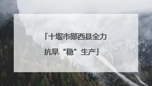 十堰市郧西县全力抗旱“稳”生产