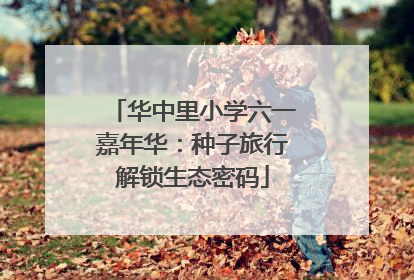 华中里小学六一嘉年华：种子旅行解锁生态密码