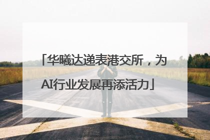 华曦达递表港交所，为AI行业发展再添活力