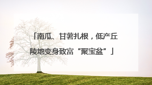 南瓜、甘薯扎根，低产丘陵地变身致富“聚宝盆”