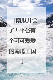 南瓜开会了！平谷有个可可爱爱的南瓜王国