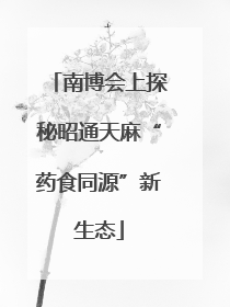 南博会上探秘昭通天麻“药食同源”新生态
