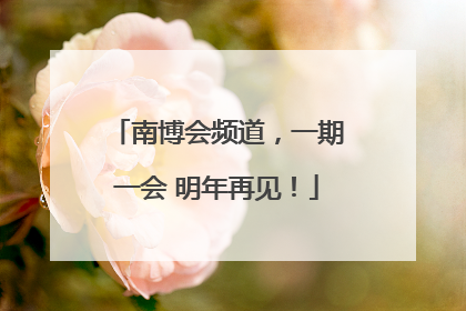 南博会频道，一期一会 明年再见！