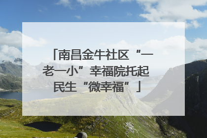 南昌金牛社区“一老一小”幸福院托起民生“微幸福”