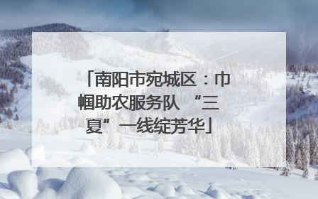 南阳市宛城区：巾帼助农服务队 “三夏”一线绽芳华