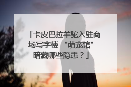 卡皮巴拉羊驼入驻商场写字楼 “萌宠馆”暗藏哪些隐患？