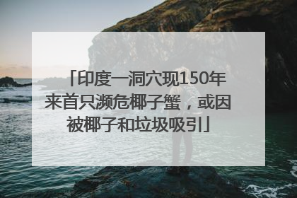 印度一洞穴现150年来首只濒危椰子蟹，或因被椰子和垃圾吸引