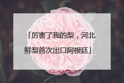 厉害了我的梨，河北鲜梨首次出口阿根廷