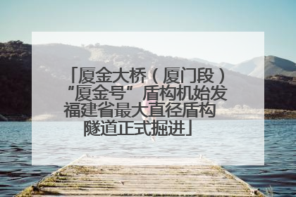 厦金大桥（厦门段）“厦金号”盾构机始发 福建省最大直径盾构隧道正式掘进