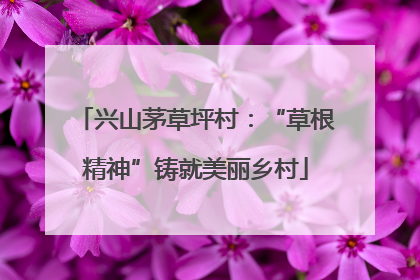 兴山茅草坪村：“草根精神”铸就美丽乡村