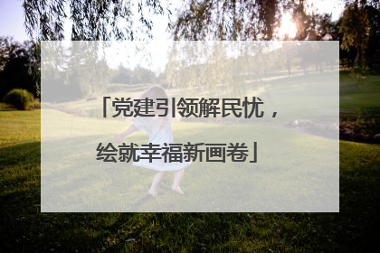 党建引领解民忧，绘就幸福新画卷