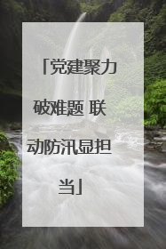 党建聚力破难题 联动防汛显担当
