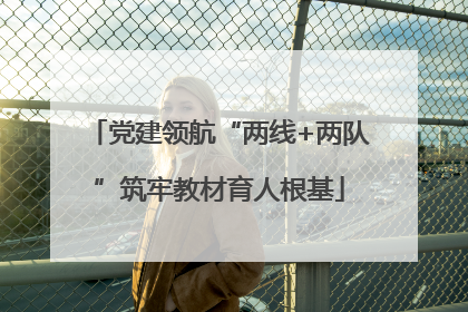 党建领航“两线+两队”筑牢教材育人根基